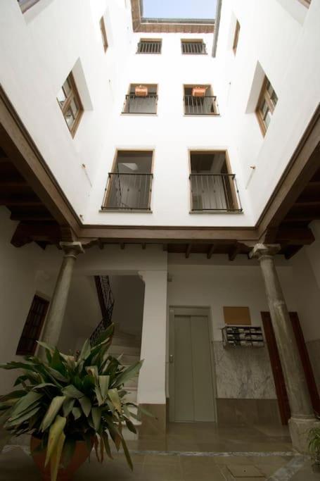 Ferienwohnung Atico Elvira Granada Exterior foto